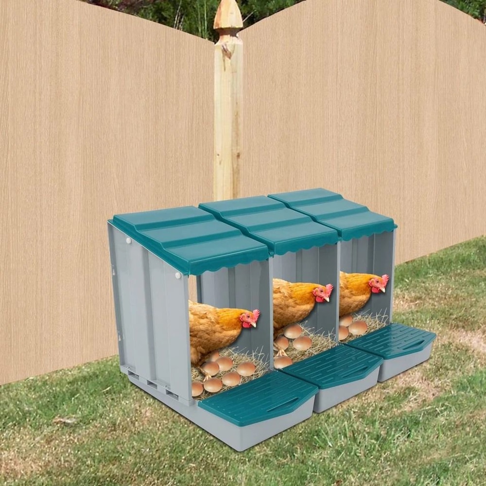 Premium Compartment Chicken Nesting Box For Easy Egg Collection Durable Chicken Egg Laying Box For 1