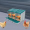 Premium Compartment Chicken Nesting Box For Easy Egg Collection Durable Chicken Egg Laying Box For 2