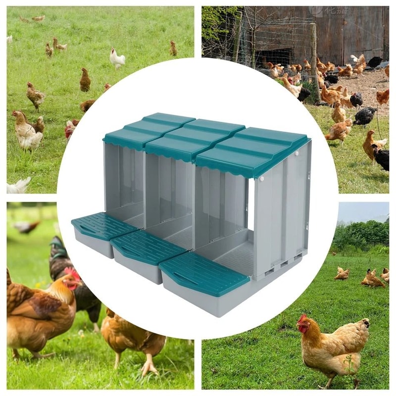 Premium Compartment Chicken Nesting Box For Easy Egg Collection Durable Chicken Egg Laying Box For 4