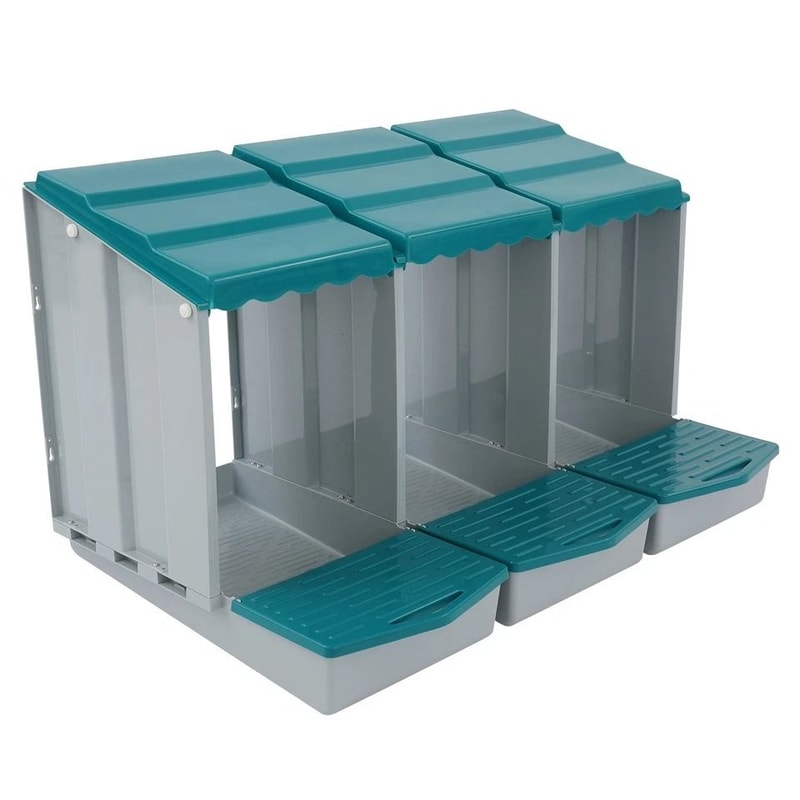 Premium Compartment Chicken Nesting Box For Easy Egg Collection Durable Chicken Egg Laying Box For 5