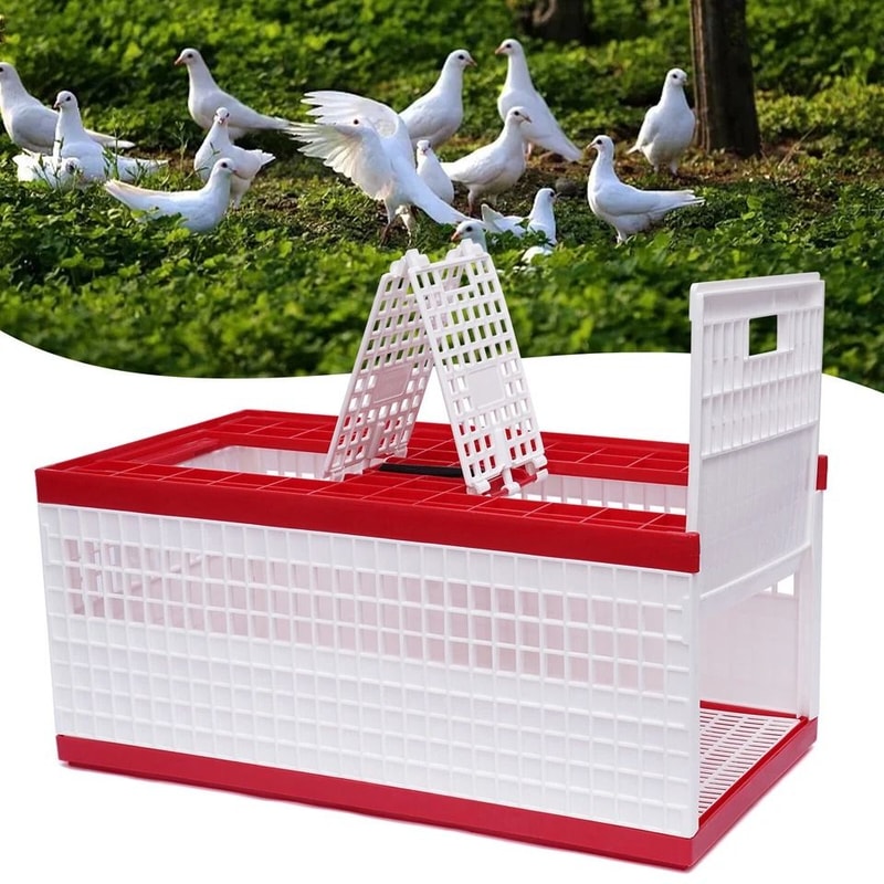 Racing Pigeon Carrier Box With Secure Doors Bird Training Cage 3