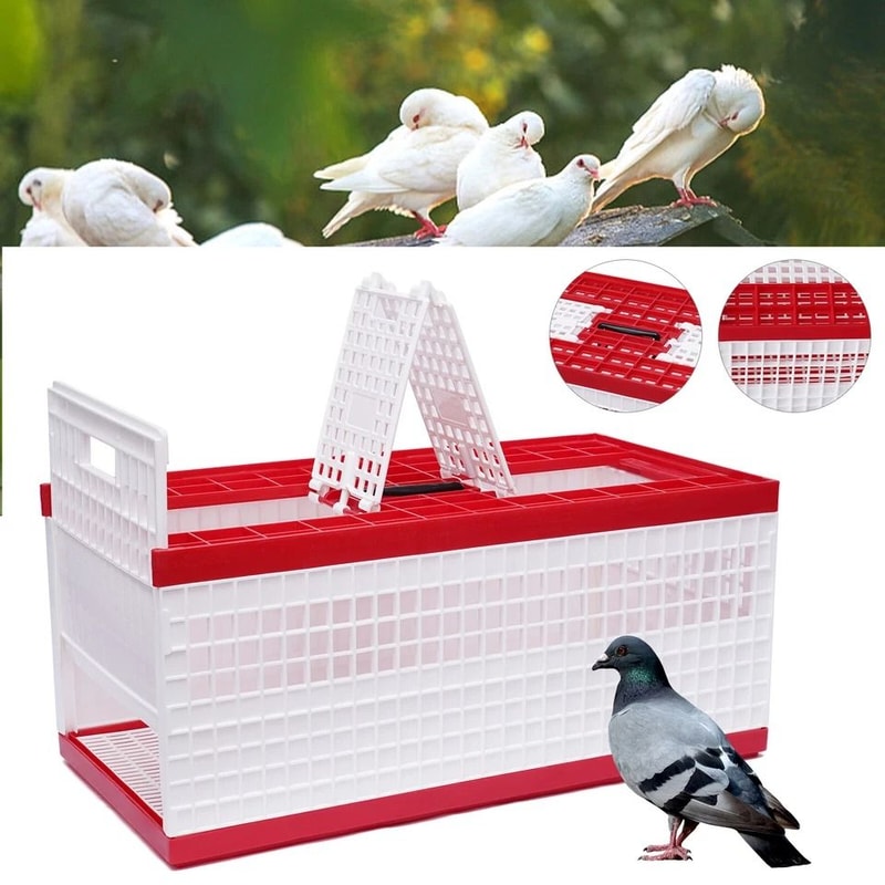 Racing Pigeon Carrier Box With Secure Doors Bird Training Cage 4
