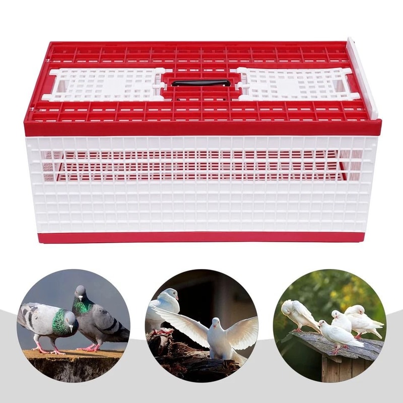 Racing Pigeon Carrier Box With Secure Doors Bird Training Cage 6