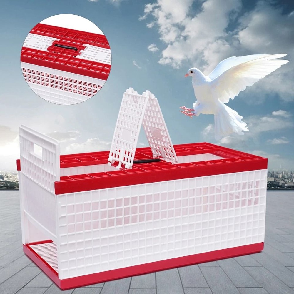 Racing Pigeon Carrier Box With Secure Doors Bird Training Cage 7