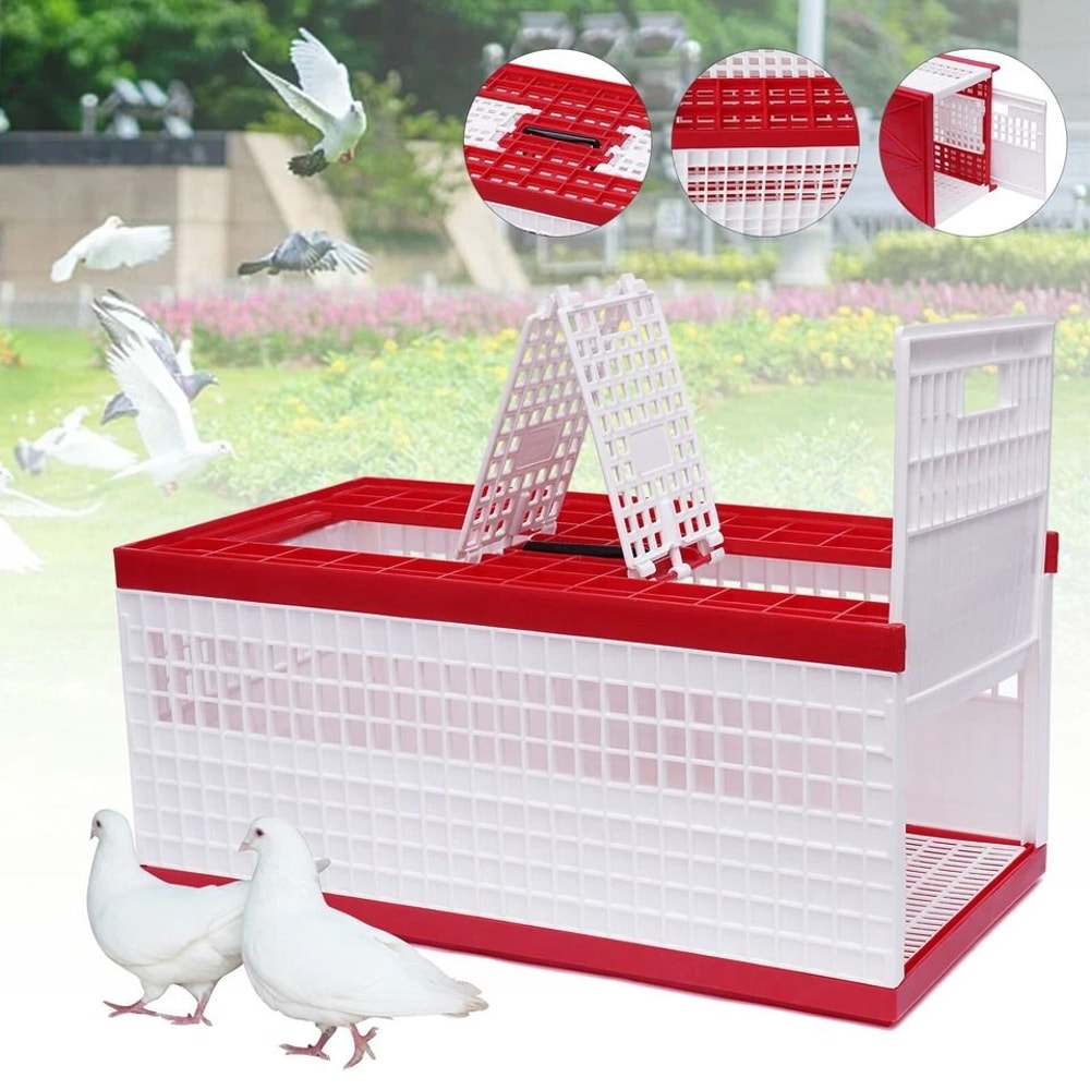 Racing Pigeon Carrier Box With Secure Doors Bird Training Cage 8