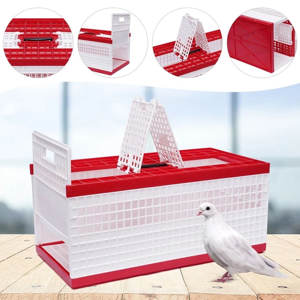 Racing Pigeon Carrier Box With Secure Doors Bird Training Cage 9