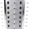Sunglasses Display Rack Rotating Sunglasses Stand Organizer With Mirrors 3