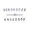 Oil Drain Plug Socket Set With Drive T Bar For Gearbox And Axle Service 4
