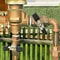 Professional Brass Male Female Test Cock With PTFE Sealant Tape For Backflow Preventer Test Cock 2