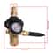 Helium Balloon Filler Regulator With Gauge PSI For CGA580 Tanks 3