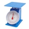 Industrial Dial Scale Portion Control Mechanical Weighing Scale For Kitchen Commercial Use 0