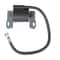 Premium Briggs Stratton Engine Ignition Coil Set Replacement Ignition Coil 4