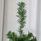 Unlit Pencil Christmas Tree Slim Holiday Decor Space Saving Artificial Green Tree For Small Rooms A 3