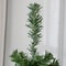 Unlit Pencil Christmas Tree Slim Holiday Decor Space Saving Artificial Green Tree For Small Rooms A 3