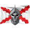 Burgundy Cross. Skull Soldier. Military.png