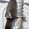 Hand forge Custom knives, Skull knife, Wolf knife, hunting Knife, Dagger knife,