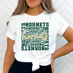 hornets svg png, hornets mascot svg, hornets cheer svg, hornets shirt svg, hornets sport svg, school spirit, hornets typ