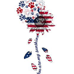 you are my sunshiner