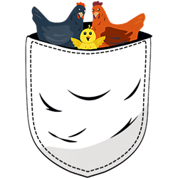 for chicken lovers cute kawaii baby pandas in pocket premium