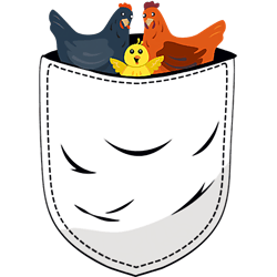 for chicken lovers cute kawaii baby pandas in pocket