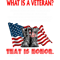 What Is A Veteran America Flag Veteran Boots Veteran T-Shirt.png