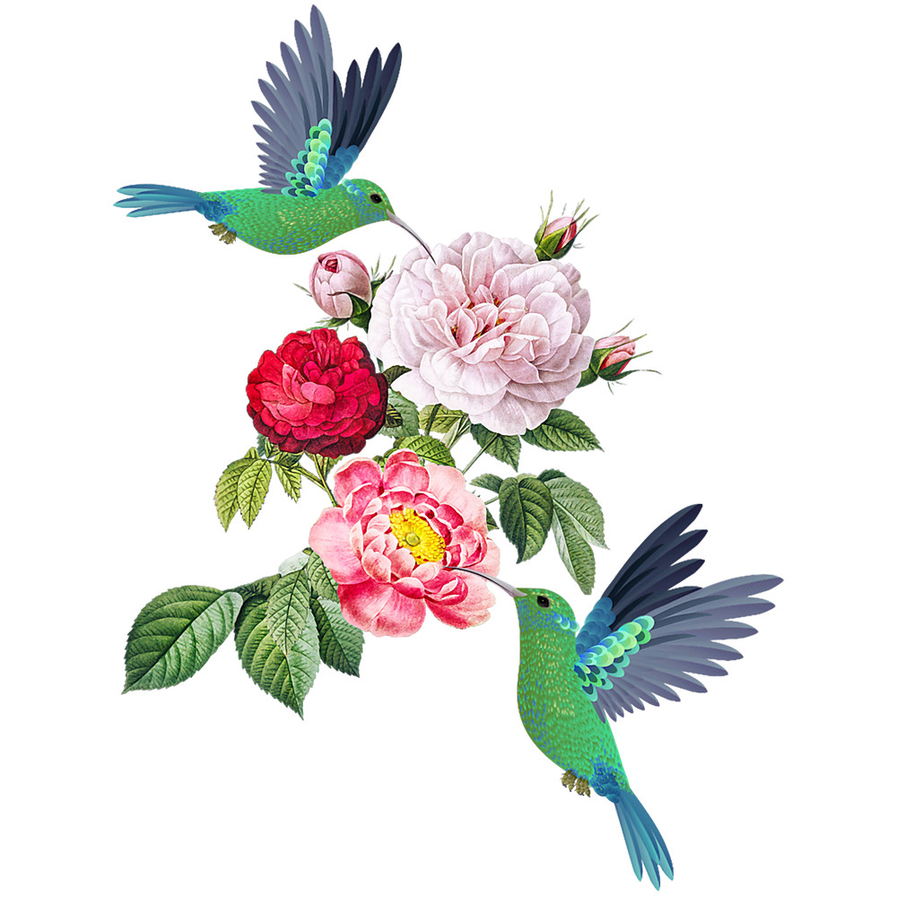 Hummingbird Flower Tree Graphic Funny Bird Lover.png