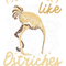 I Just Really Like Ostriches Ok.png