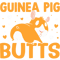 I Like Guinea Pig Butts And I Cannot Lie.png