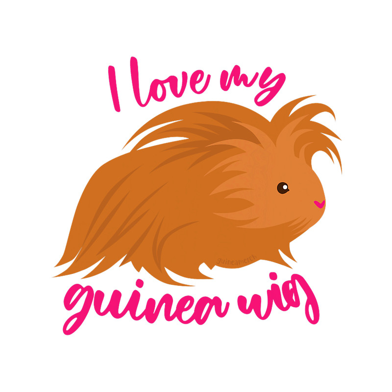 I Love My Guinea Wig Long Haired Guinea Pig Cute Funny.png