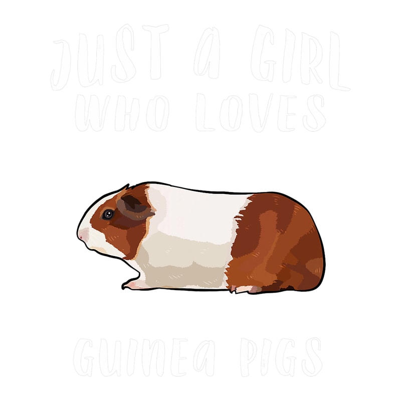 Im Just A Girl Who Loves Guinea Pig Farm Animal Lover.png