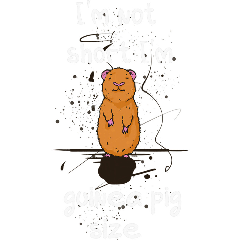 Im not short Im guinea pig size funny quote guinea pig.png