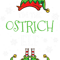 Im The Ostrich Elf Christmas.png