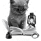 I Read What I Want I Love Reading Banned Books Bookish.png