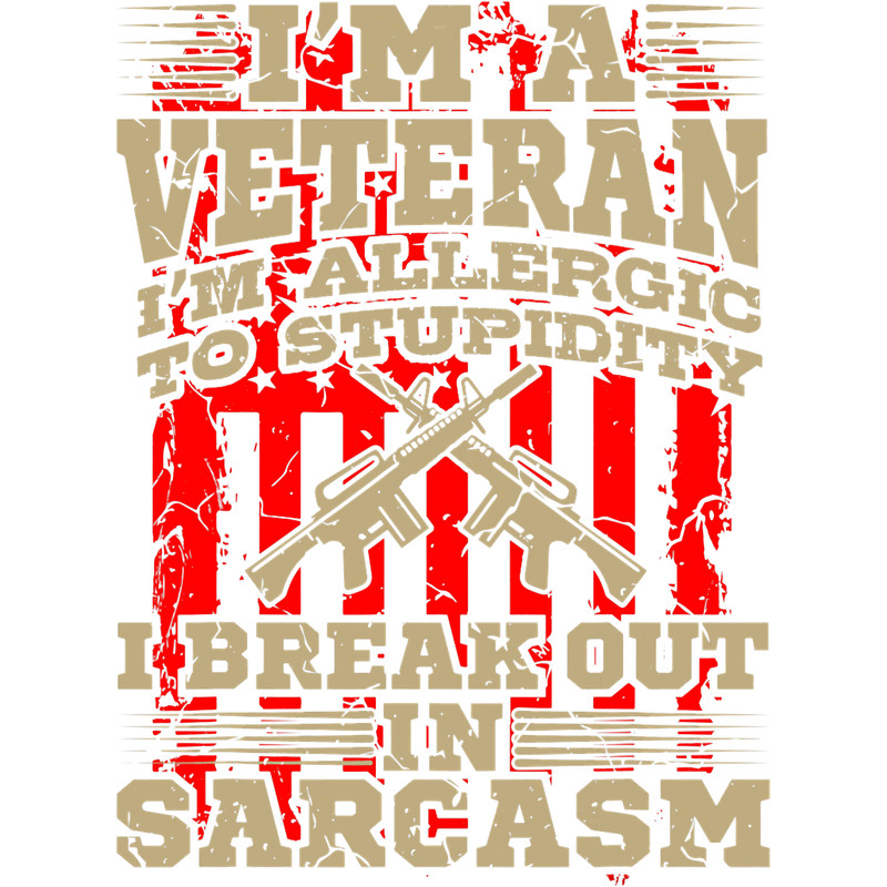 IM A VETERAN American Veteran Gift Veterans Day Soldier.png