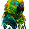 Macaw Parrot for a Bird Lover Animal Lover.png
