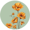 California Poppies.png