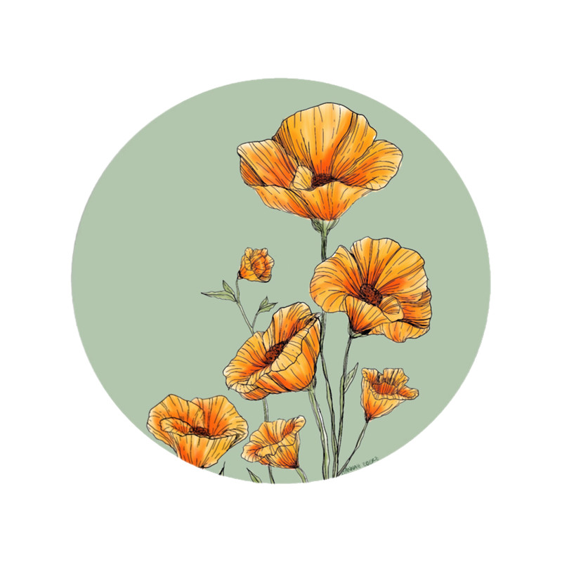 California Poppies.png