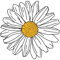 Daisy.png