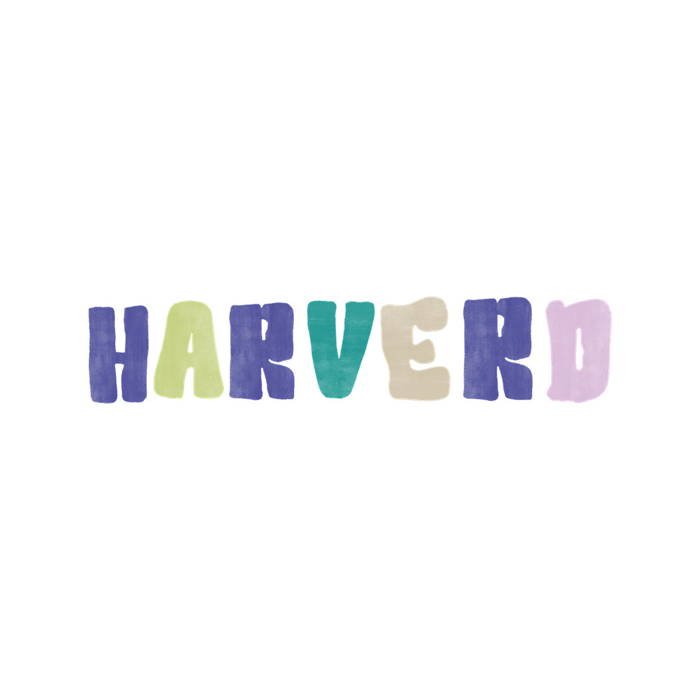 Harverd PlaidT-Shirt.png