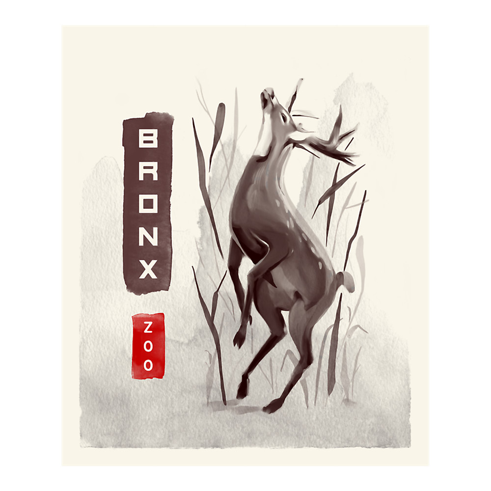 Aesthetic Art in Wildlife - Beautiful Gazelle - Bronx Zoo .png