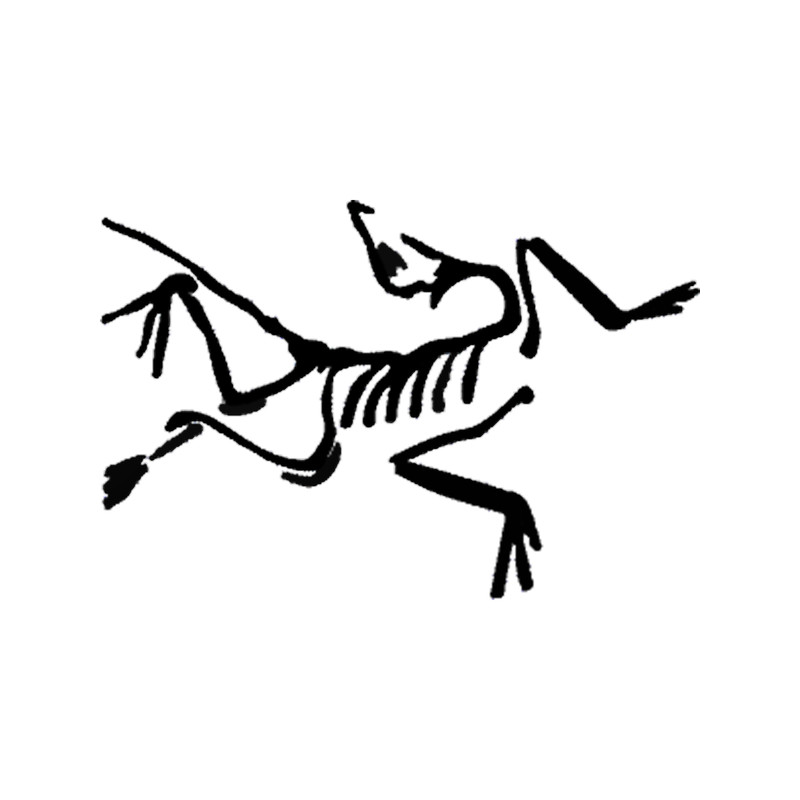 Arc_teryx Razor Ramon Active .png