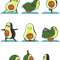 Avocado Yoga Active .png