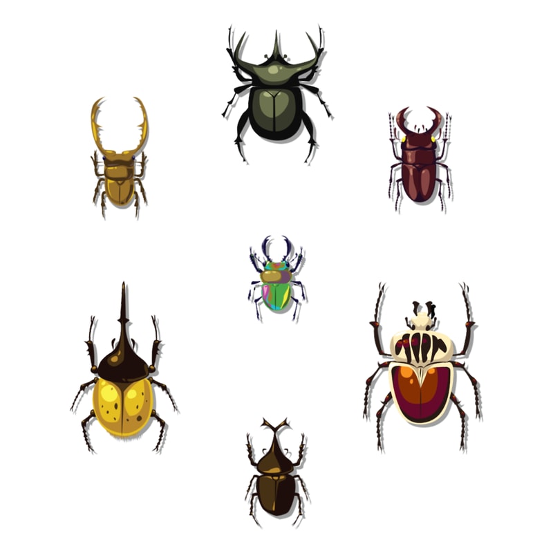 Beetle Collection.png