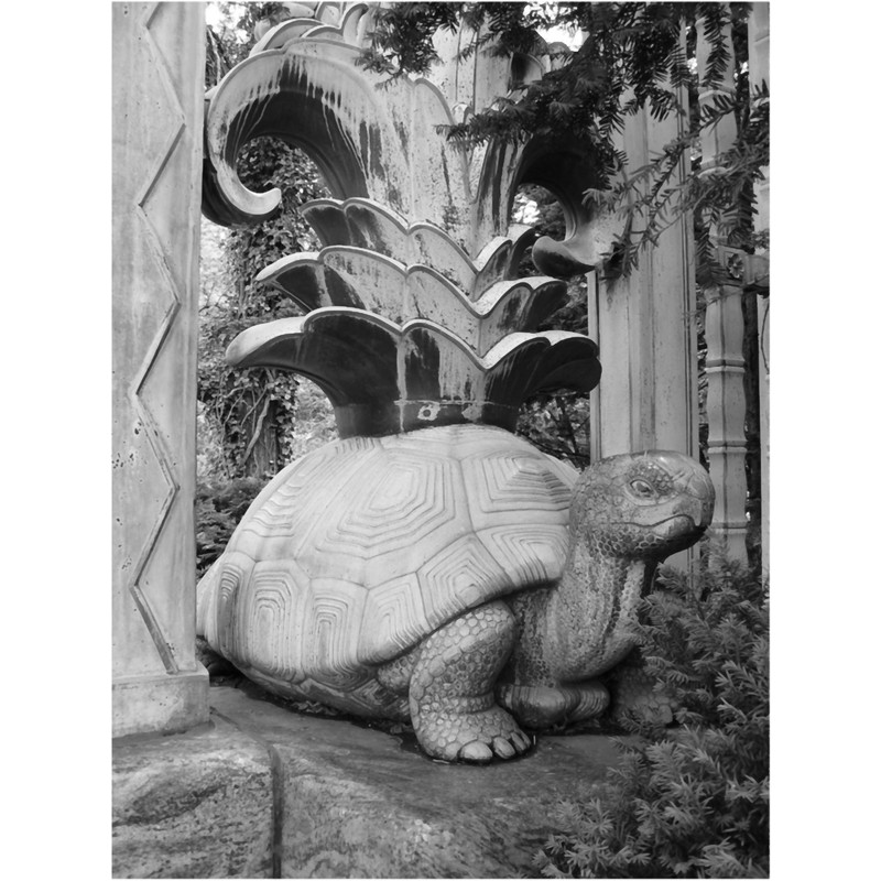 Bronx Turtle - BW.png