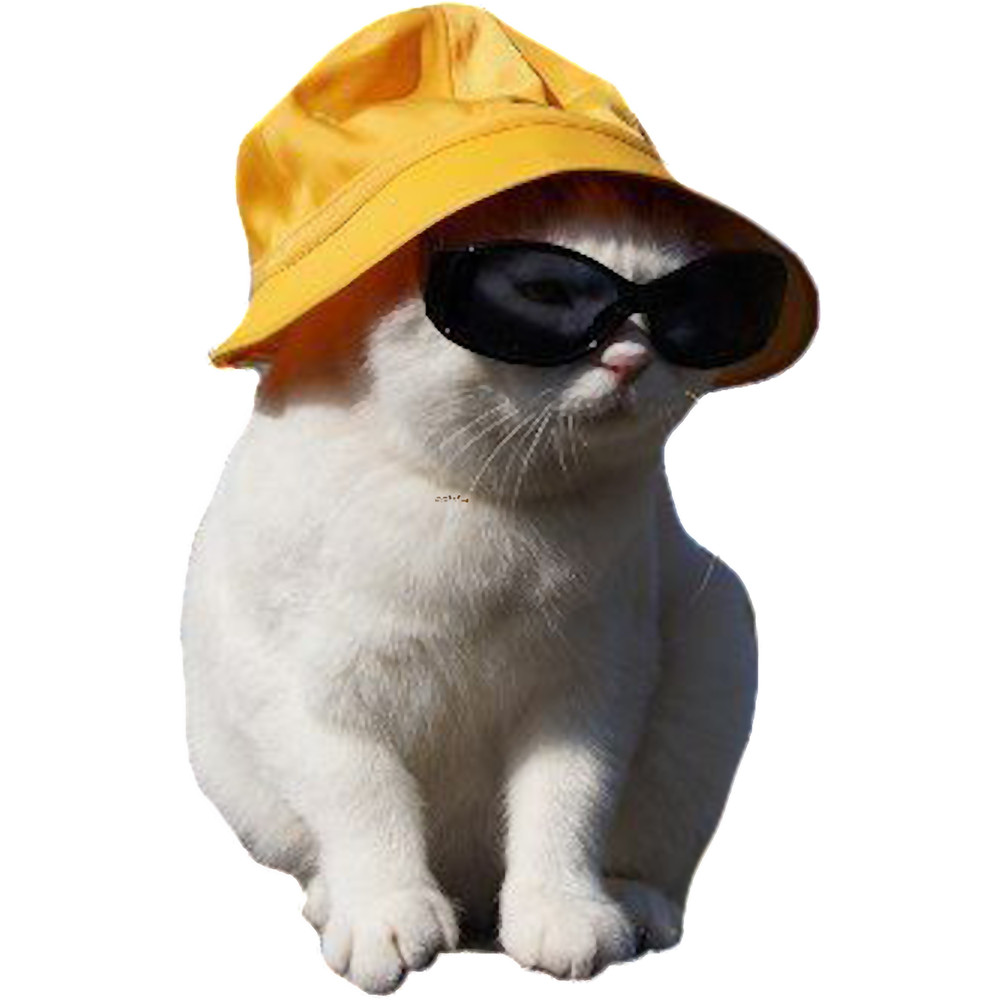 bucket hat cat.png