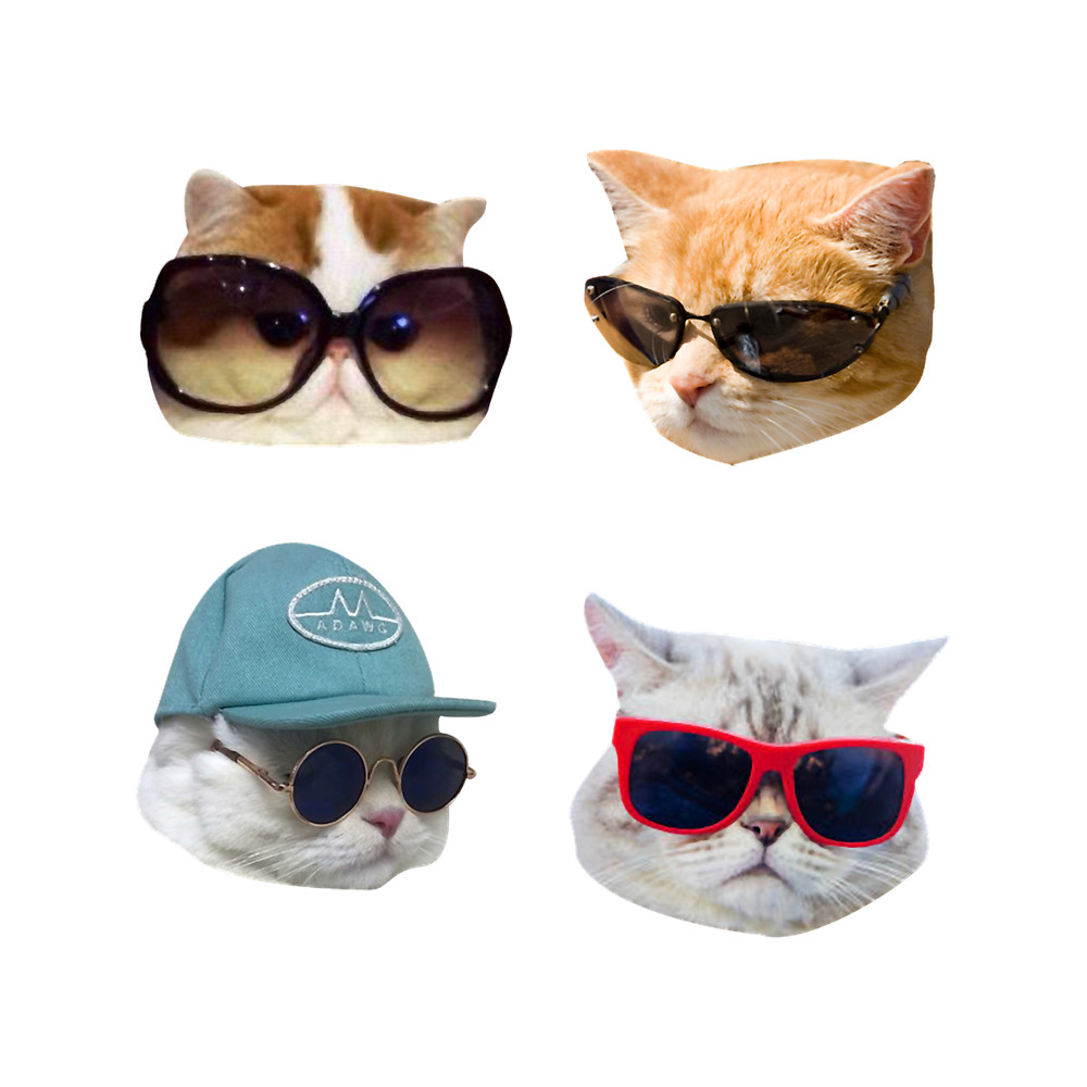 Cats With Glasses s Pack.png