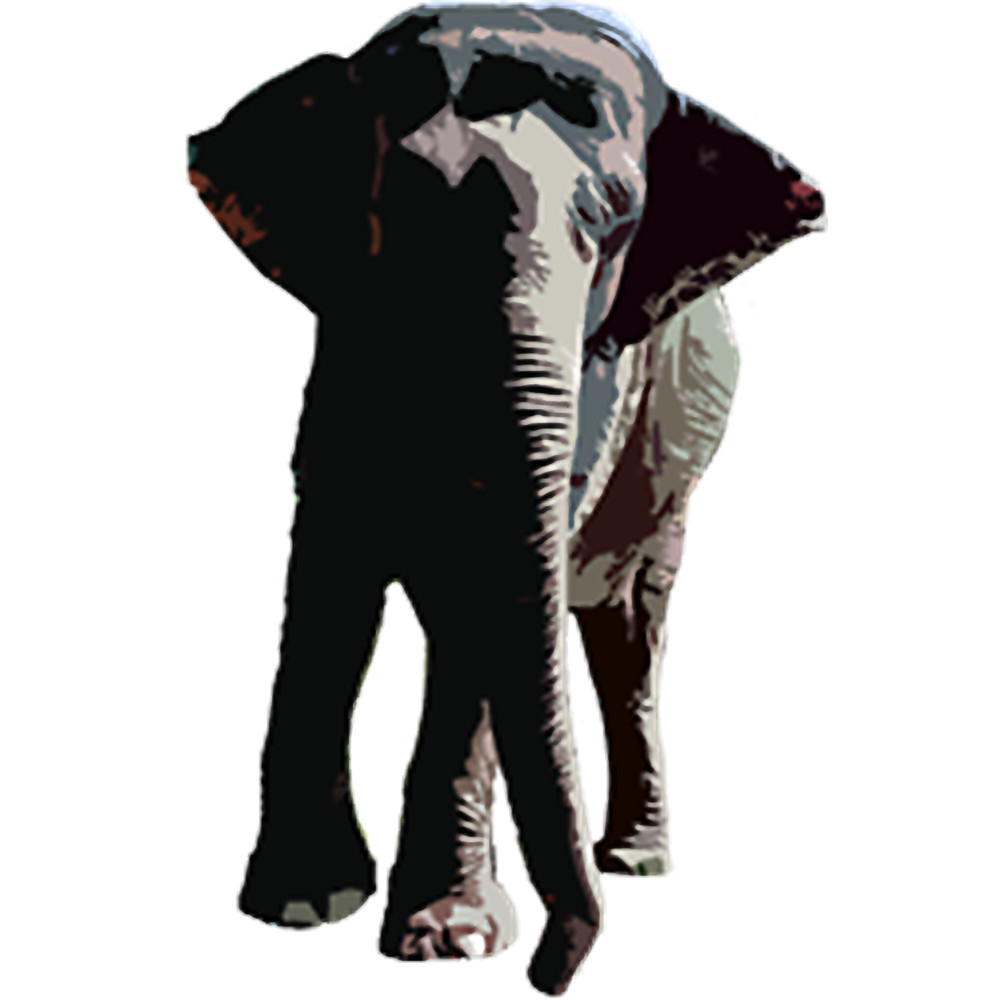 Happy the Elephant .png