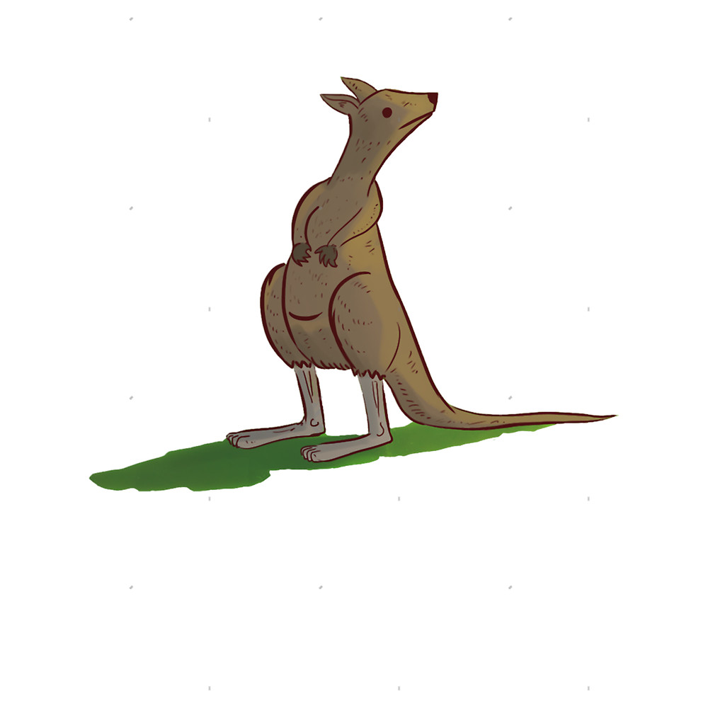 Kangaroo - .png