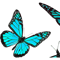 monarch butterflypack blue.png