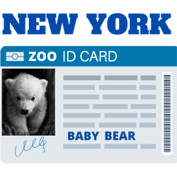 new york zoo polar bear